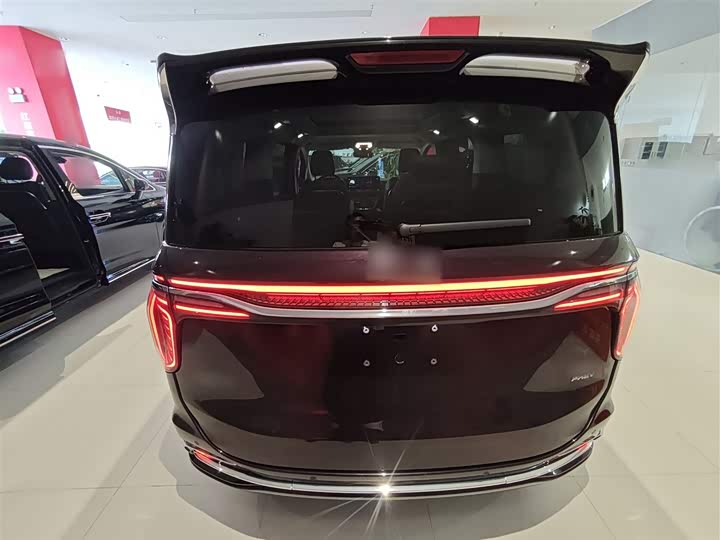Hongqi HQ9 Hybrid, 2024 — фото 6 из 9