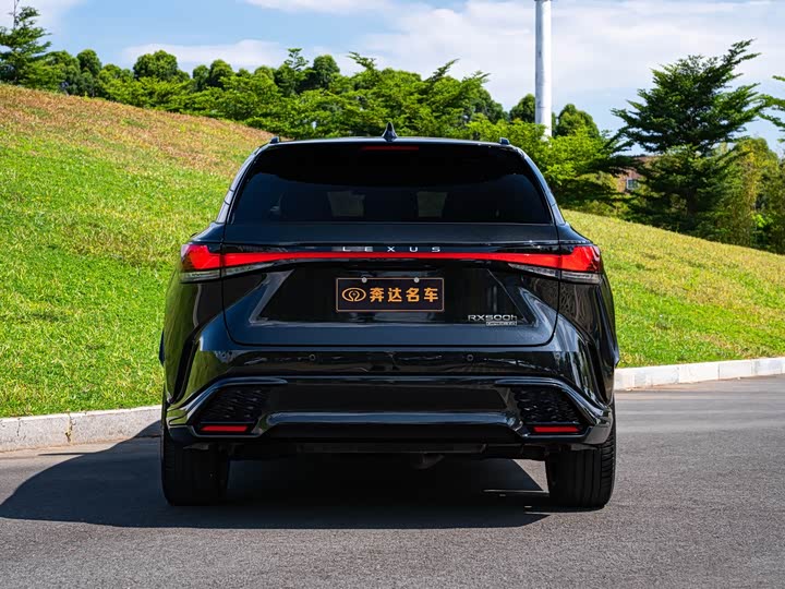 Lexus RX, 2022 — фото 5 из 9