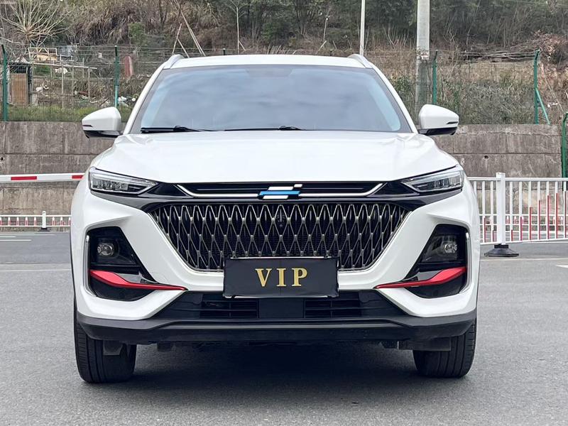 Changan Oshan X7 Plus, 2023 — фото 2 из 12