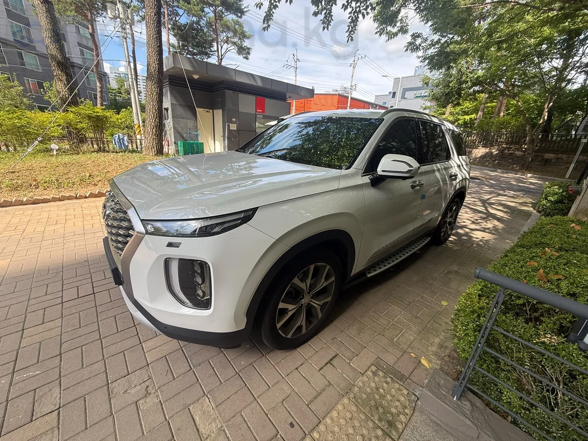 Hyundai Palisade, 2022 — фото 2 из 12