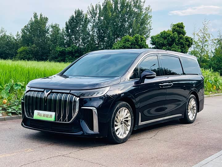 Voyah Dream, 2023 — купить в Брянске под ключ
