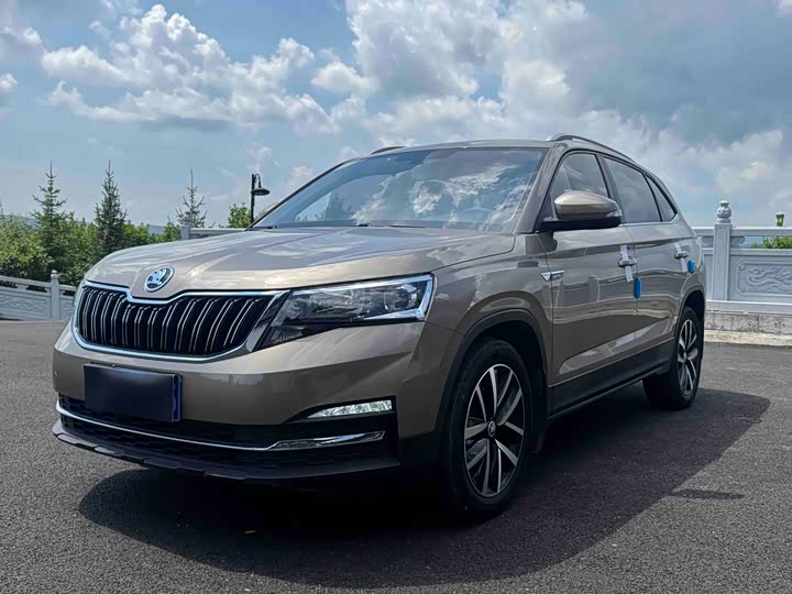 Skoda Kamiq, 2022 — купить в Казани под ключ