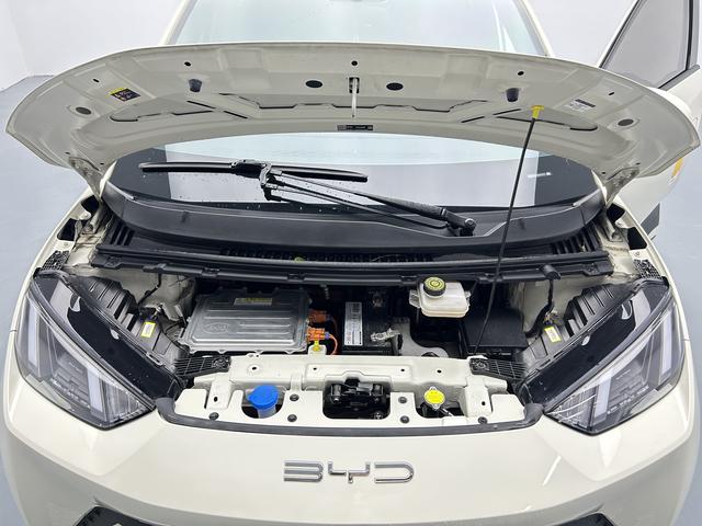 BYD Seagull, 2023 — фото 12 из 12