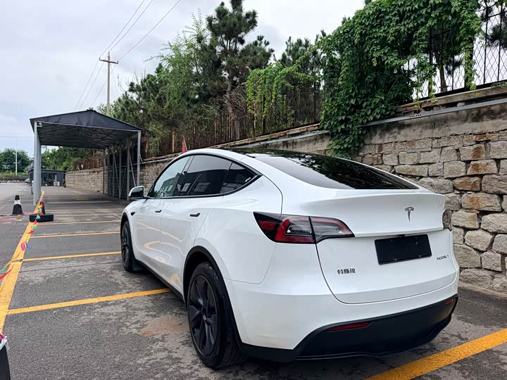 Tesla Model Y, 2024 — фото 7 из 9