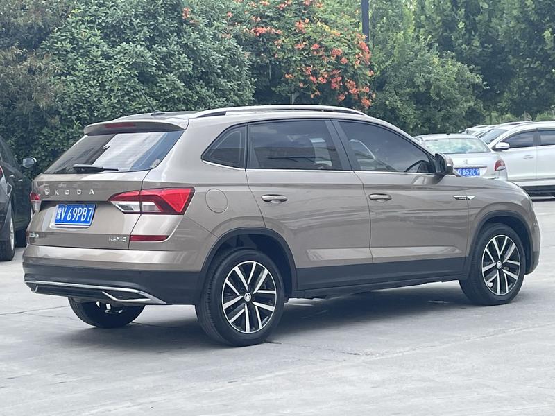 Skoda Kamiq, 2023 — фото 6 из 11