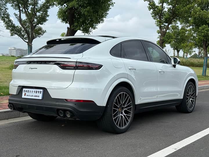 Porsche Cayenne, 2022 — фото 8 из 9