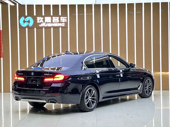 BMW 5 Series Hybrid, 2021 — фото 2 из 9