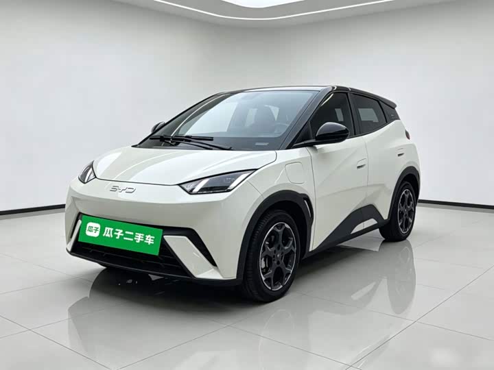 BYD Seagull, 2024 — купить в Санкт-Петербурге под ключ