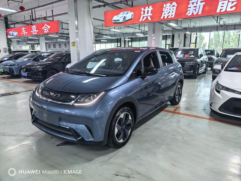 BYD Dolphin, 2025 — купить в Орле под ключ