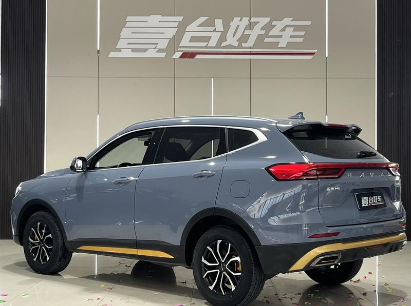 Haval H6, 2023 — фото 4 из 9