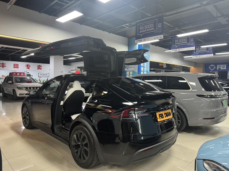 Tesla Model X, 2023 — фото 2 из 6