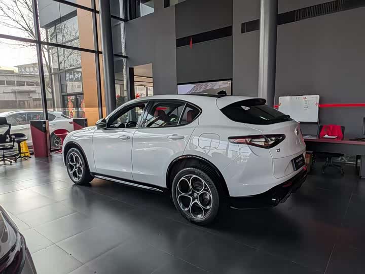 Alfa Romeo Stelvio, 2024 — фото 4 из 9