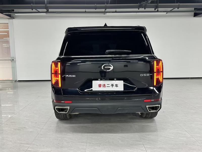 GAC Trumpchi GS8, 2023 — фото 3 из 12