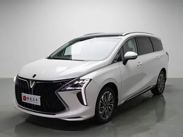 Dongfeng Forthing Yacht, 2024 — купить в Самаре под ключ