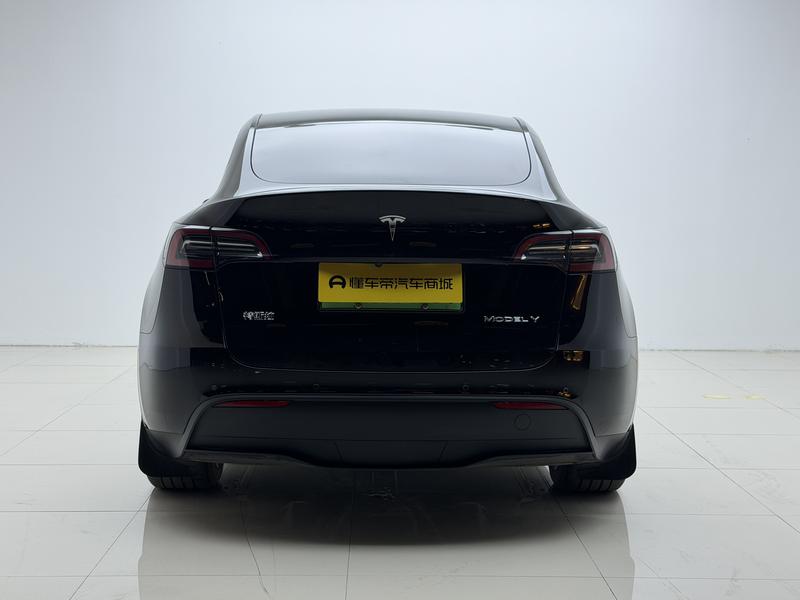 Tesla Model Y, 2023 — фото 6 из 12