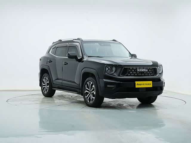 Haval H-Dog, 2023 — фото 8 из 9