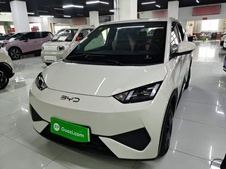 BYD Seagull, 2026 — купить в Владимире под ключ