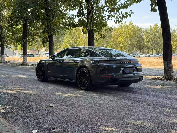 Porsche Panamera, 2024 — фото 6 из 9
