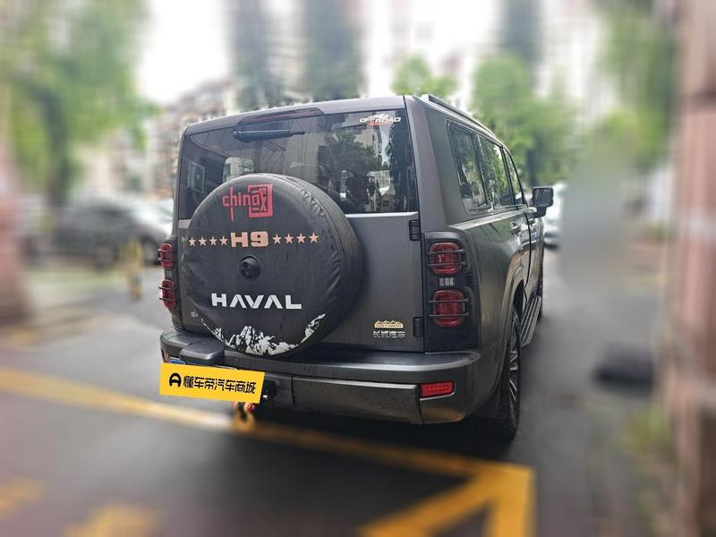Haval H9, 2024 — фото 2 из 12