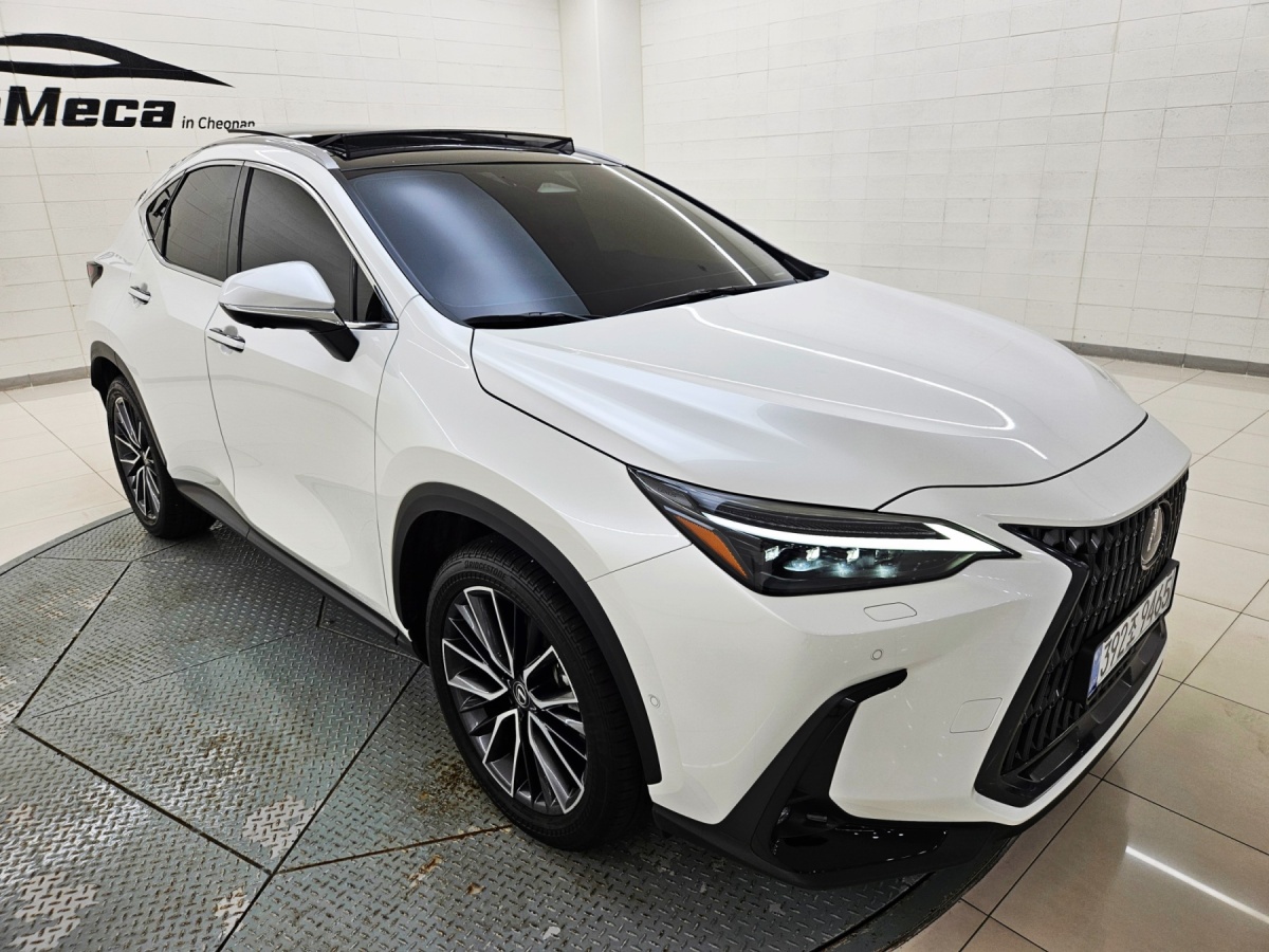 Lexus NX, 2025 — фото 2 из 12