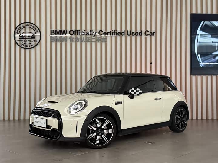 Mini Mini, 2022 — купить в Смоленске под ключ