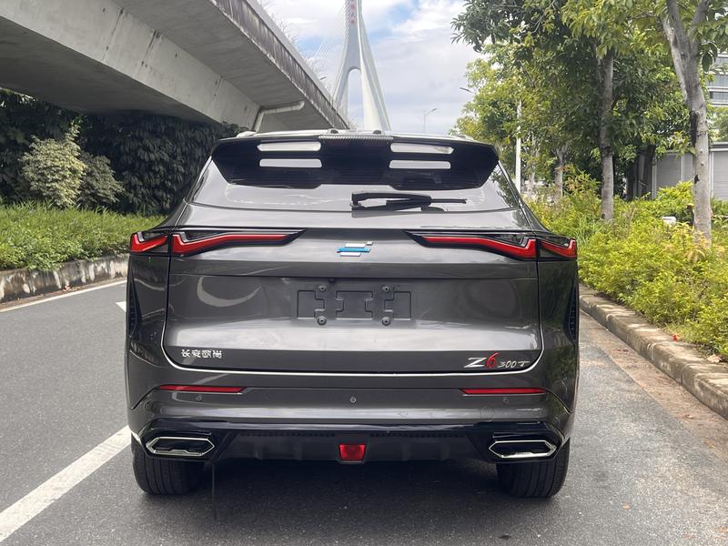 Changan Oshan Z6, 2023 — фото 6 из 11