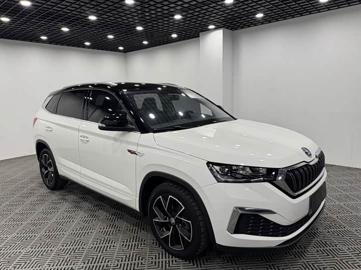 Skoda Kamiq, 2021 — купить в Санкт-Петербурге под ключ