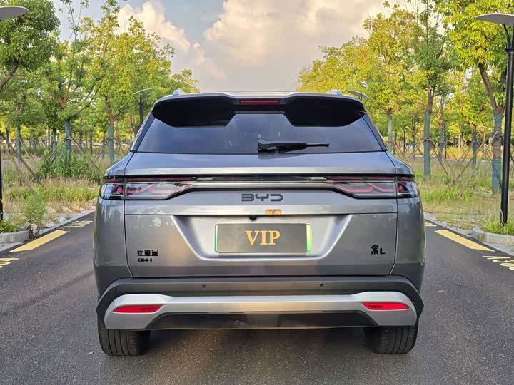 BYD Song L DM-i Hybrid, 2024 — фото 5 из 9