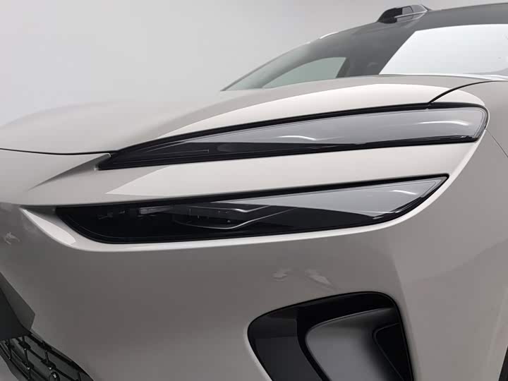 BYD Sea Lion 06 Hybrid/EV, 2026 — фото 7 из 9