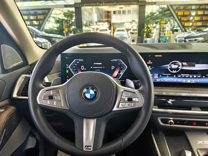BMW X5, 2025 — фото 8 из 9