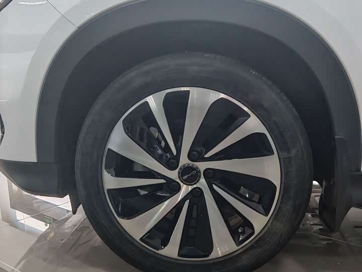 BYD Song Plus Hybrid/EV, 2023 — фото 8 из 9