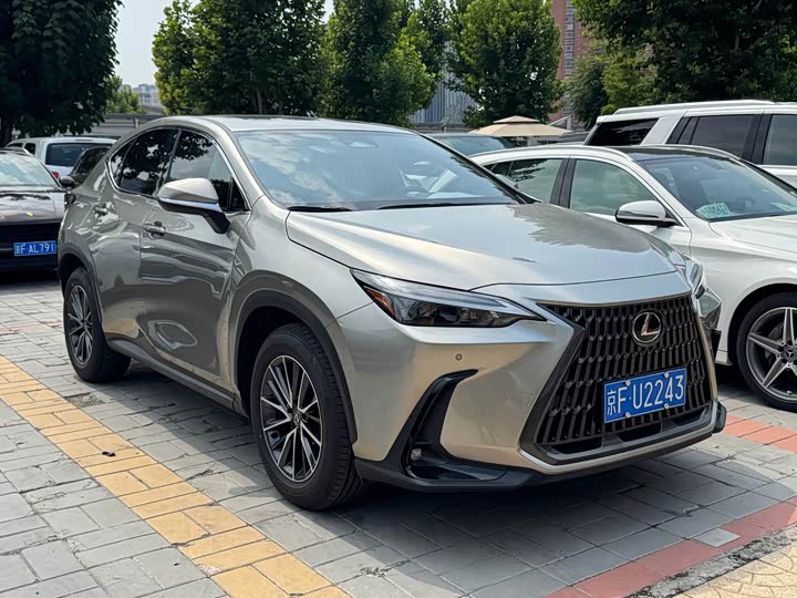 Lexus NX, 2024 — фото 2 из 9