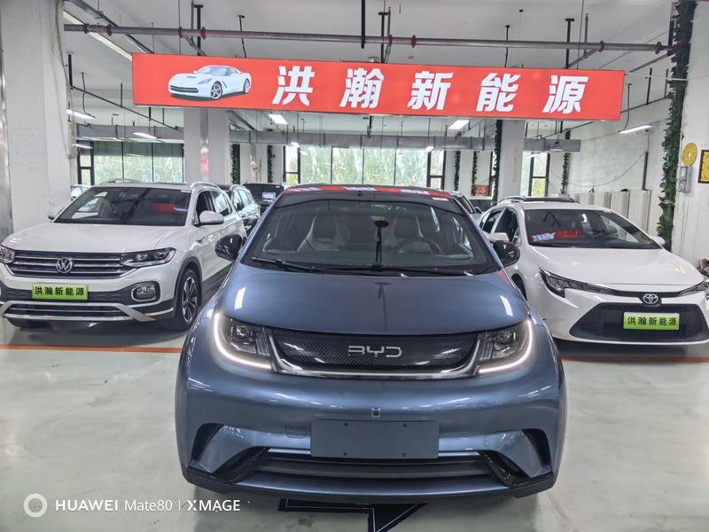 BYD Dolphin, 2025 — фото 2 из 11