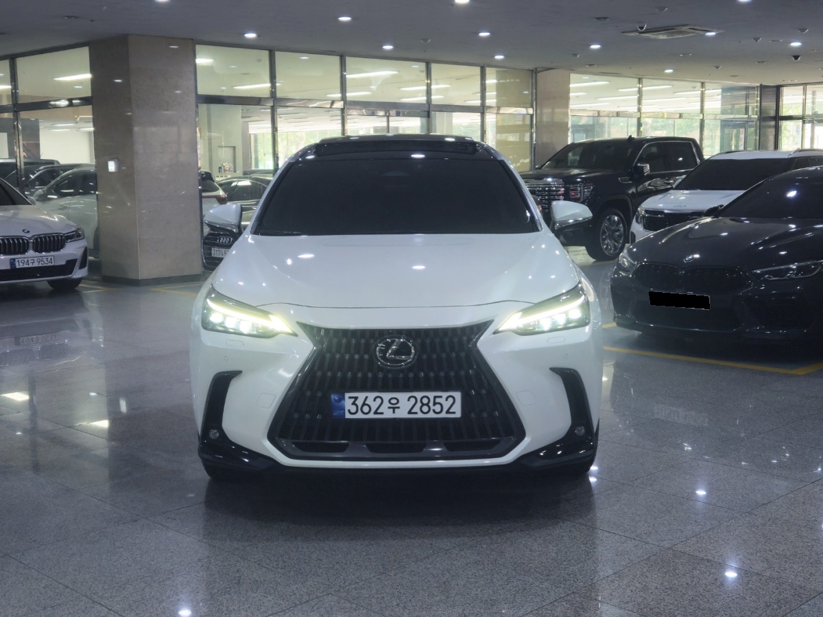 Lexus NX, 2023 — фото 2 из 12