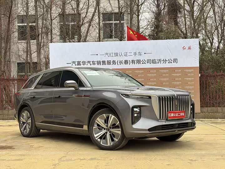 Hongqi E-HS9, 2023 — фото 3 из 9