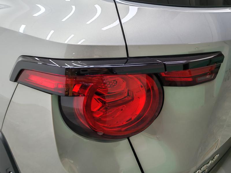 Haval H-Dog Hybrid, 2024 — фото 10 из 12