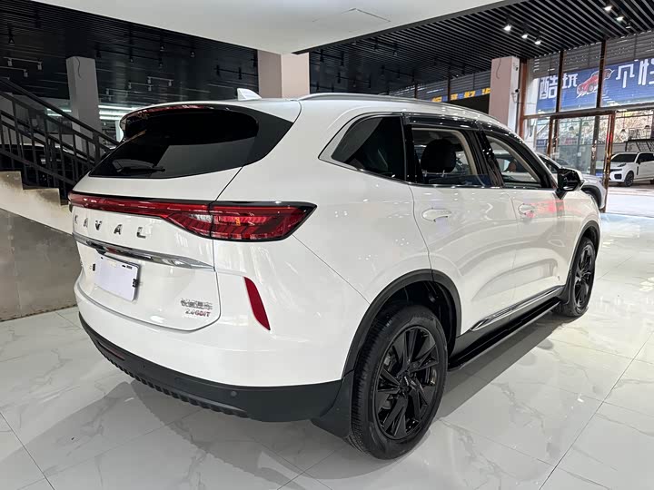 Haval H6, 2021 — фото 6 из 9