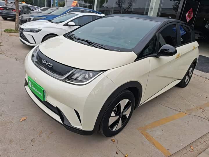 BYD Dolphin, 2023 — купить в Воронеже под ключ