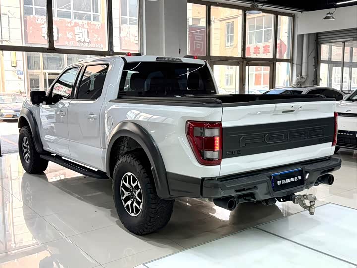 Ford F-150 Raptor, 2024 — фото 5 из 9