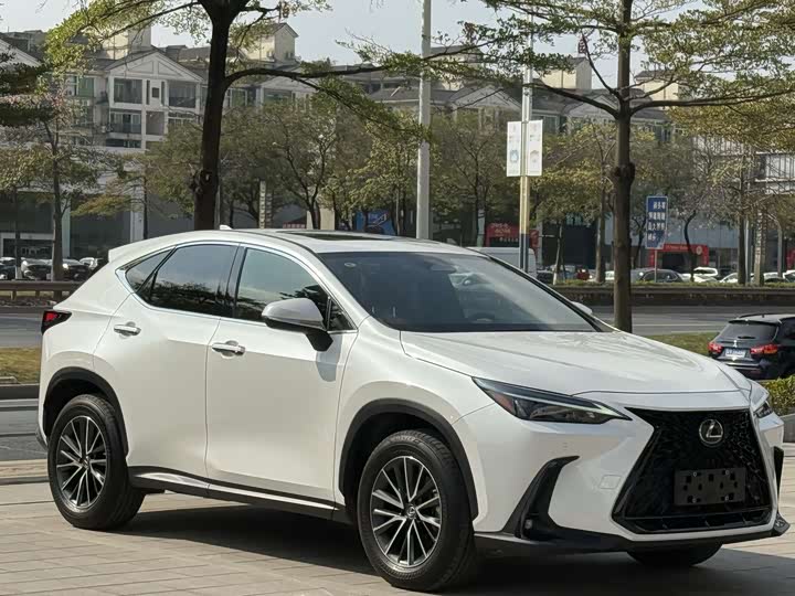 Lexus NX, 2021 — фото 3 из 9