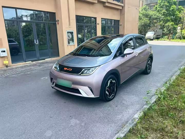 BYD Dolphin, 2021 — купить в Владимире под ключ