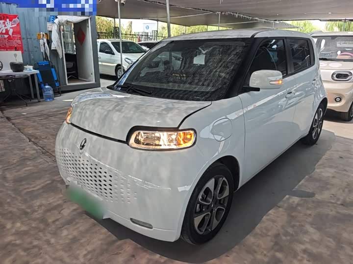 Ora White Cat, 2021 — купить в Самаре под ключ