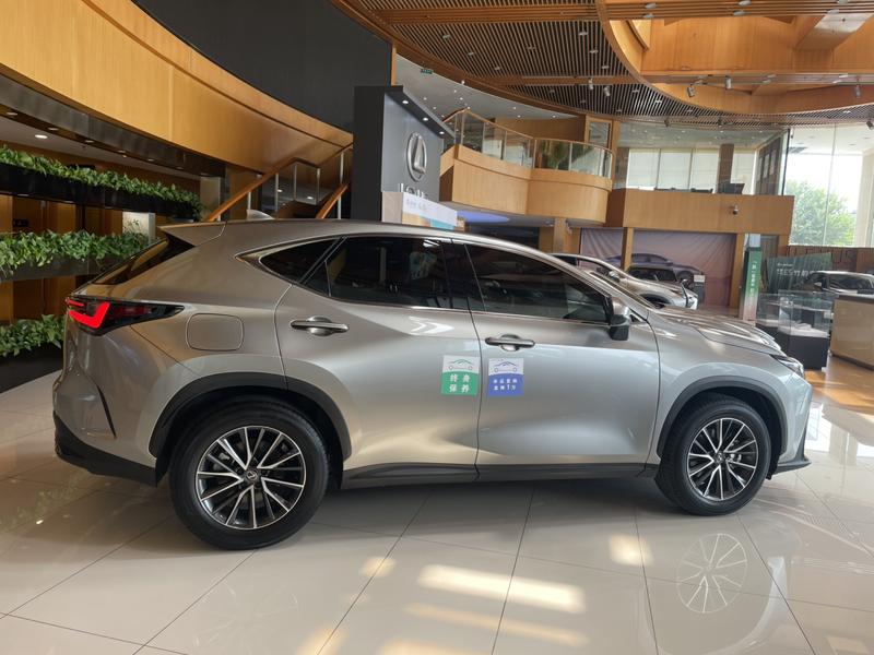 Lexus NX Hybrid, 2023 — фото 5 из 12