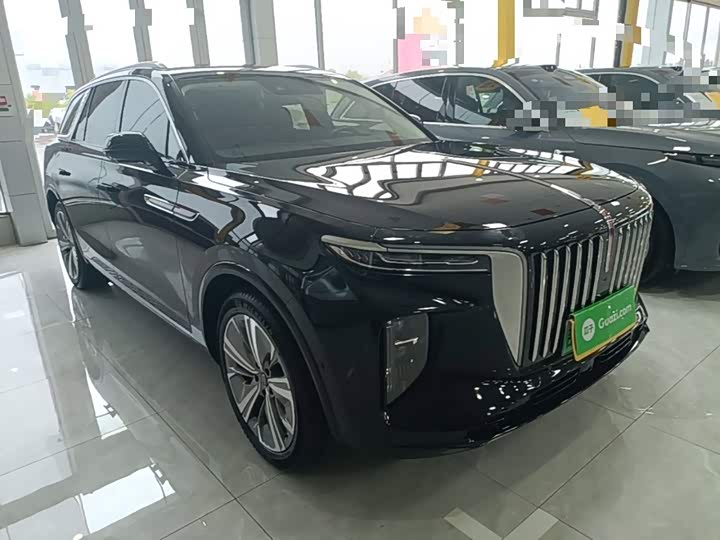 Hongqi E-HS9, 2023 — фото 4 из 9