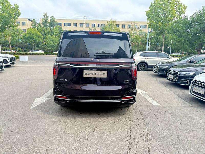 Hongqi HQ9 Hybrid, 2023 — фото 4 из 10