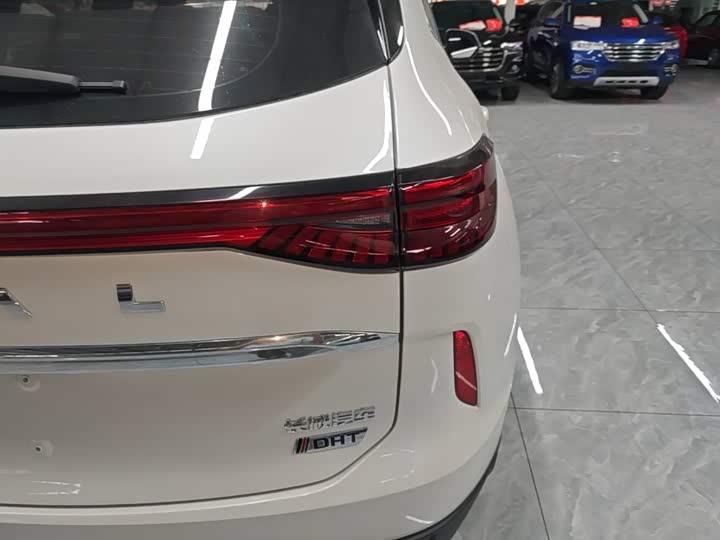 Haval H6 Hybrid, 2023 — фото 8 из 9