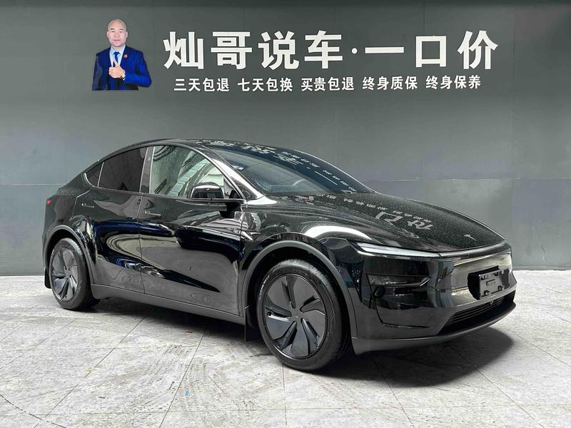 Tesla Model Y, 2026 — фото 3 из 12