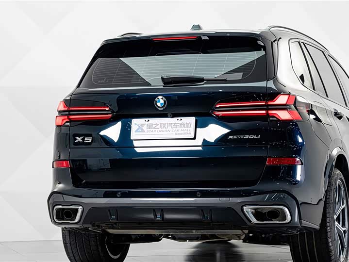 BMW X5, 2025 — фото 7 из 9