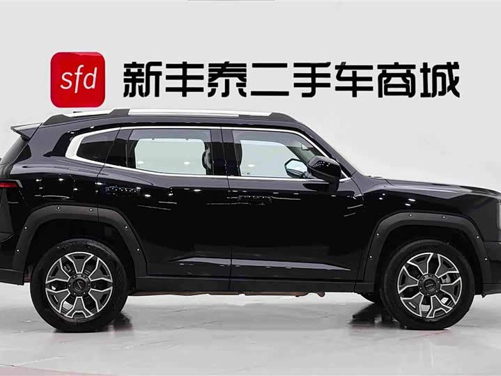 Haval H-Dog Hybrid, 2023 — фото 3 из 9