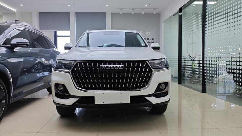 Haval H6, 2023 — фото 2 из 12
